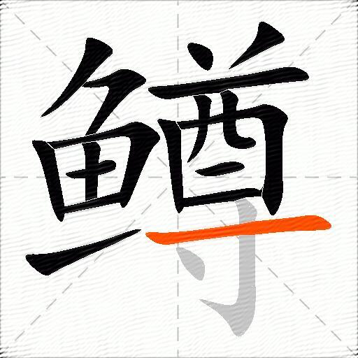 鳟