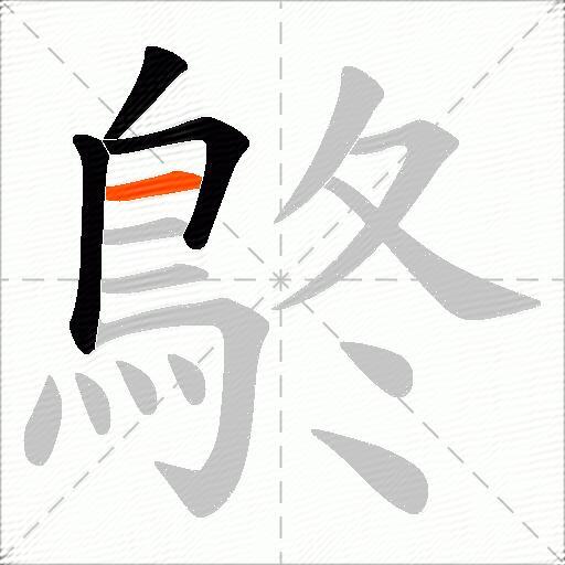 鴤