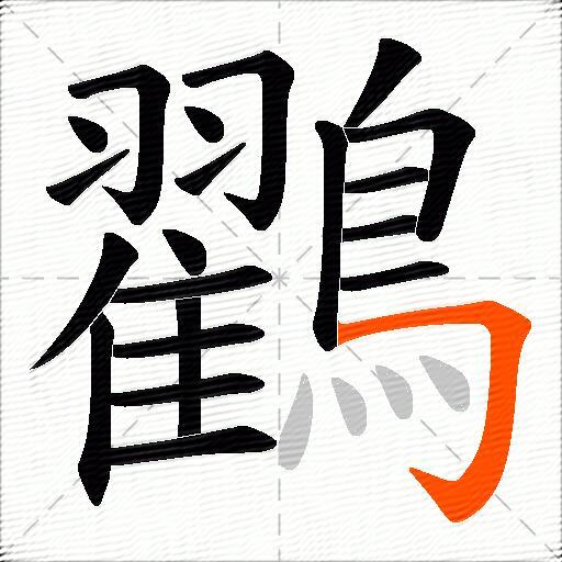 鸐