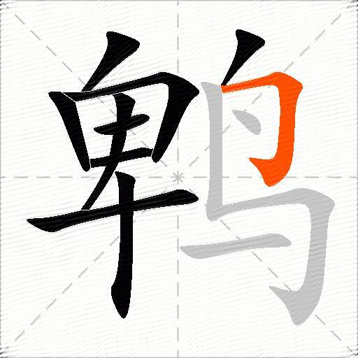 鹎