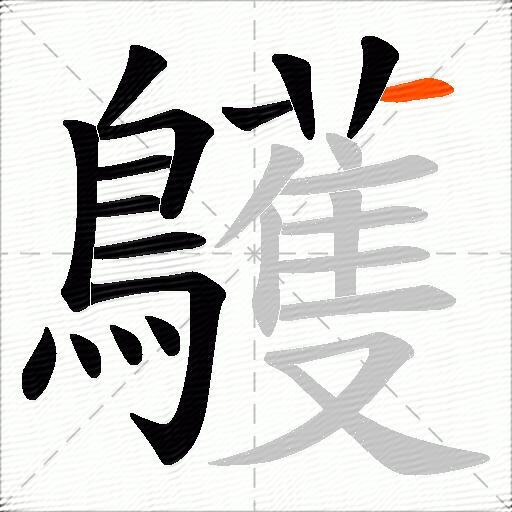 鸌