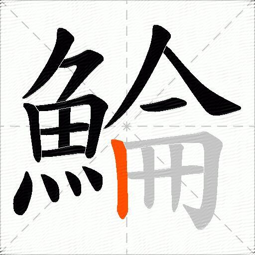 鯩