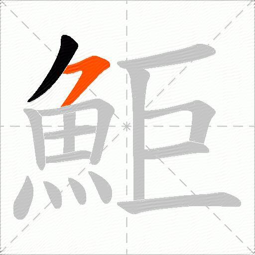 鮔