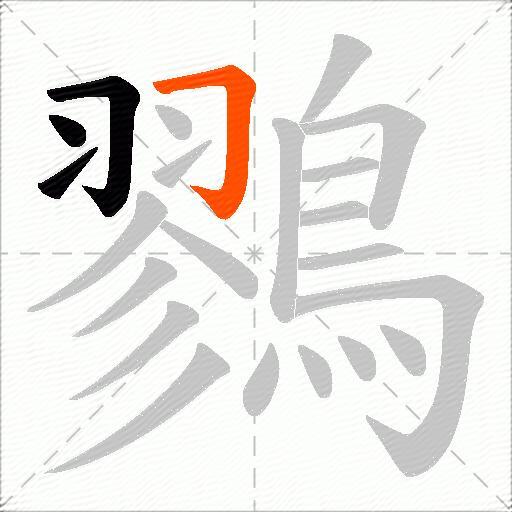 鷚