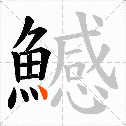 鱤