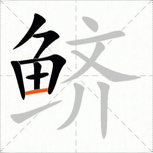 鲚