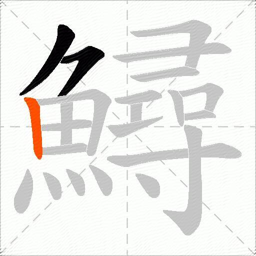 鱘