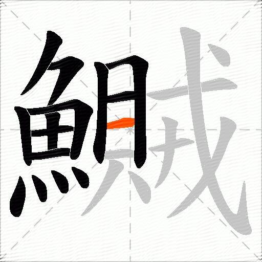 鱡