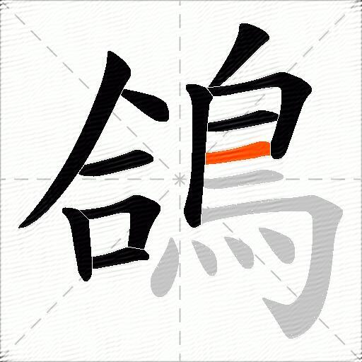 鴿