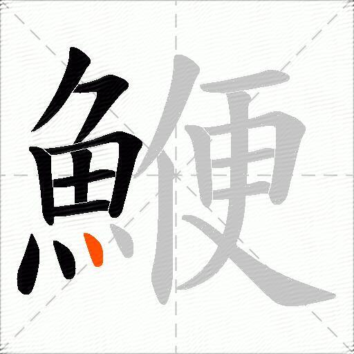 鯾