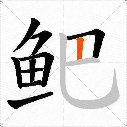 鲃