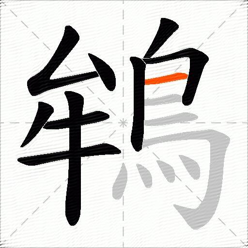 鴾