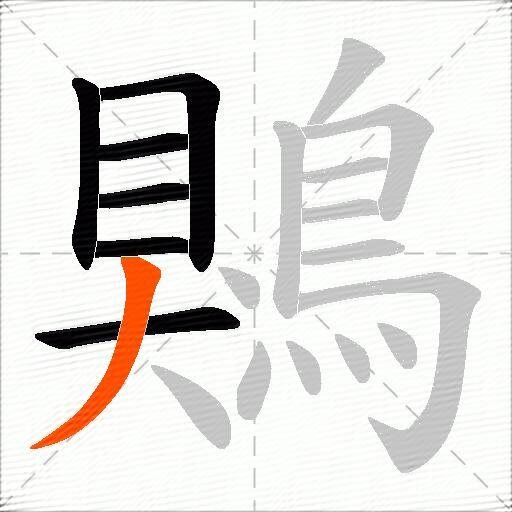 鶪