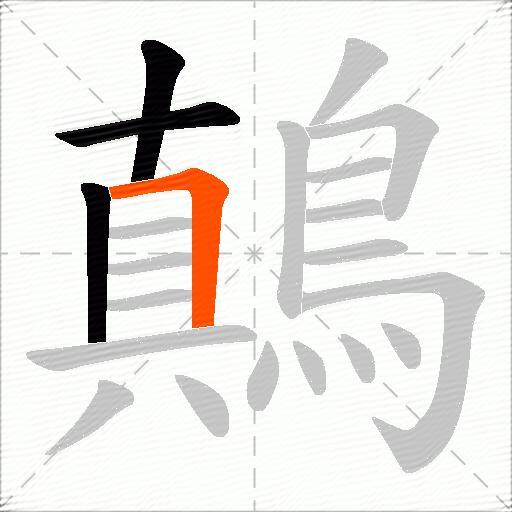 鷏