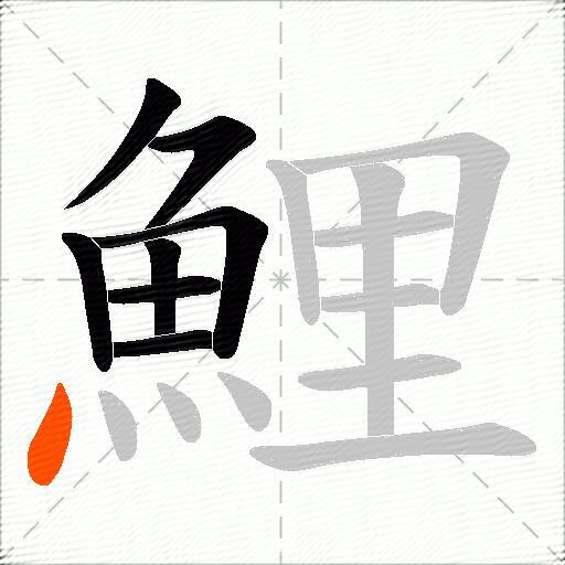 鯉