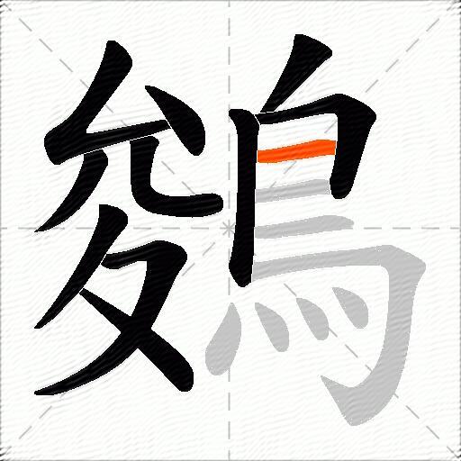 鵕