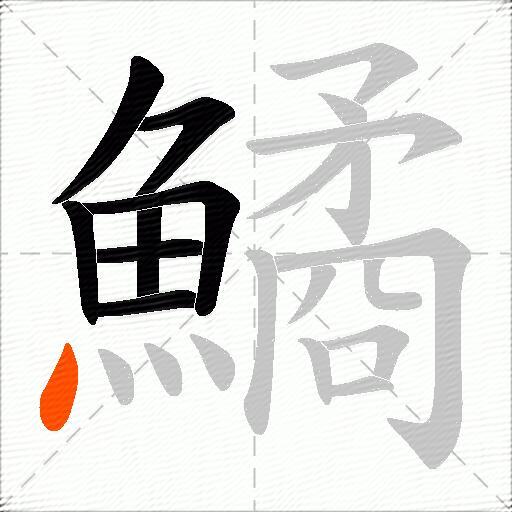 鱊