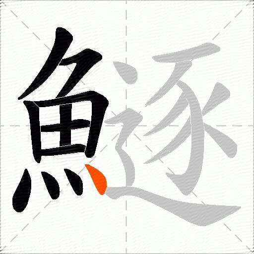 鱁