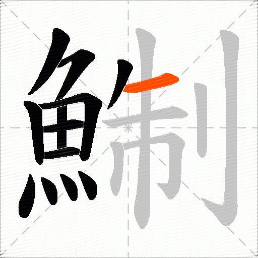 鯯