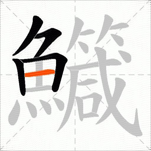 鱵
