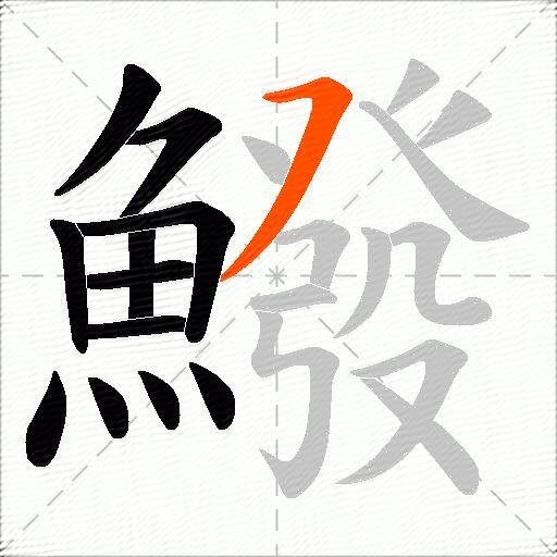 鱍