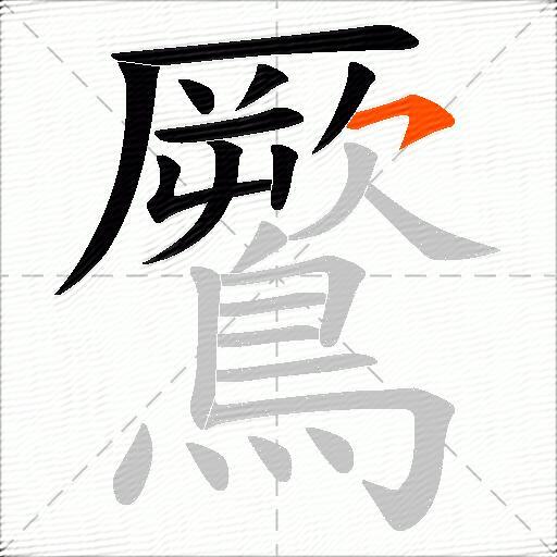 鷢