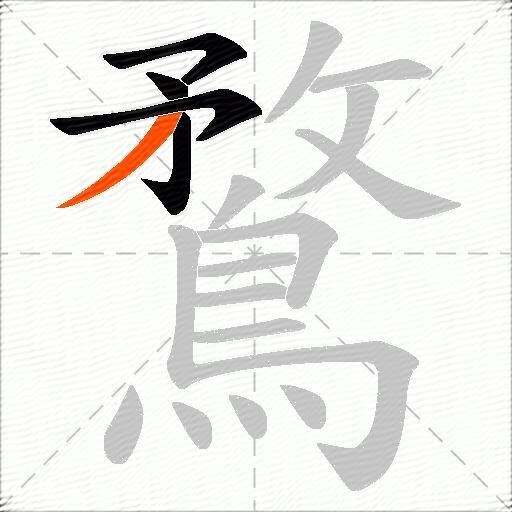鶩