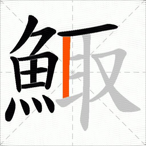 鯫