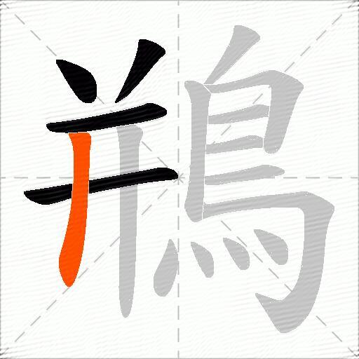 鵧