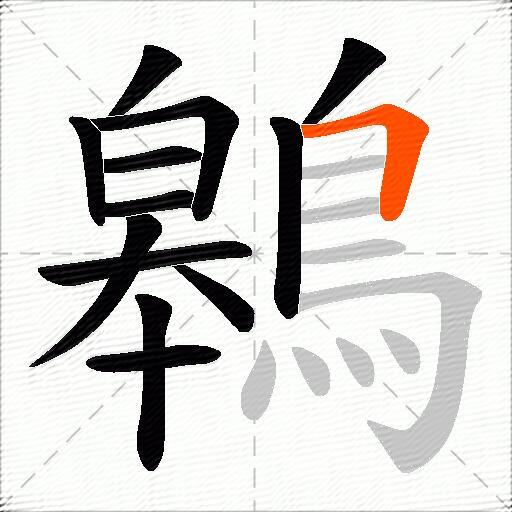 鷎