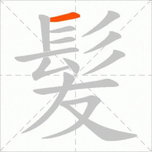 髪
