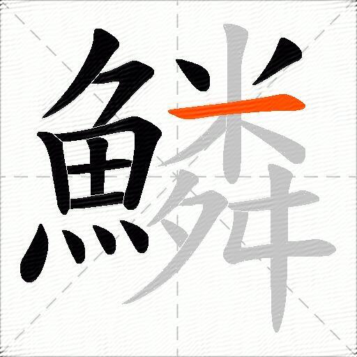 鱗