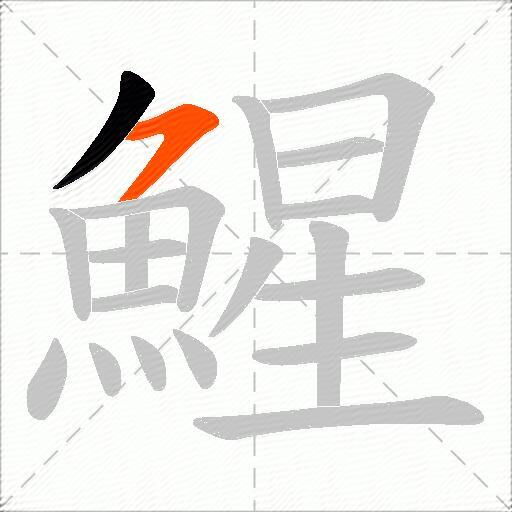 鯹