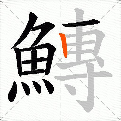 鱄