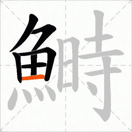 鰣