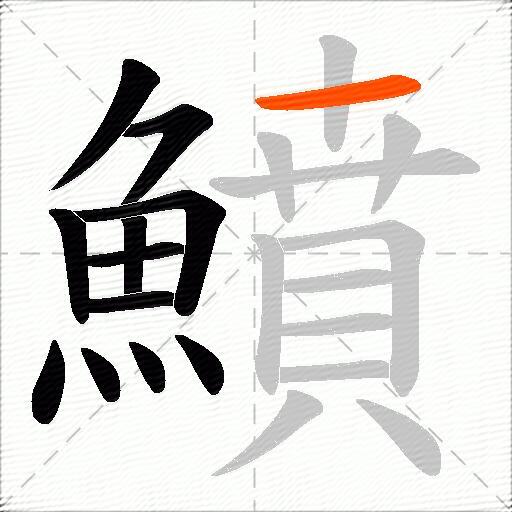 鱝