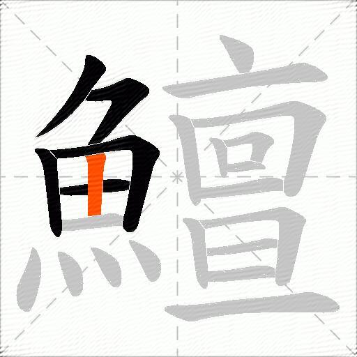 鱣