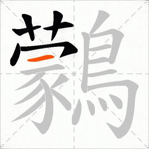 鸏