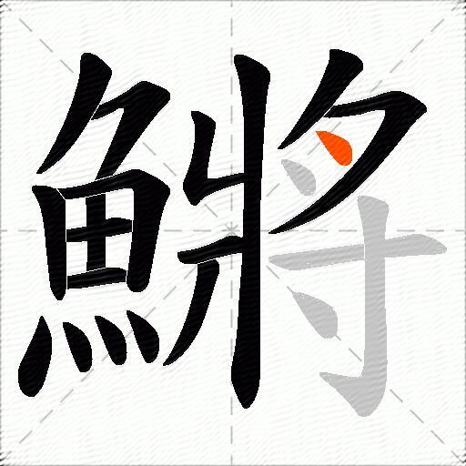 鱂