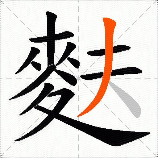 麩