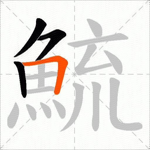 鯍