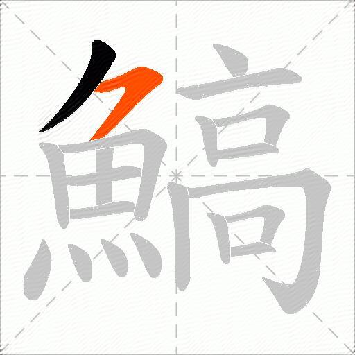 鰝