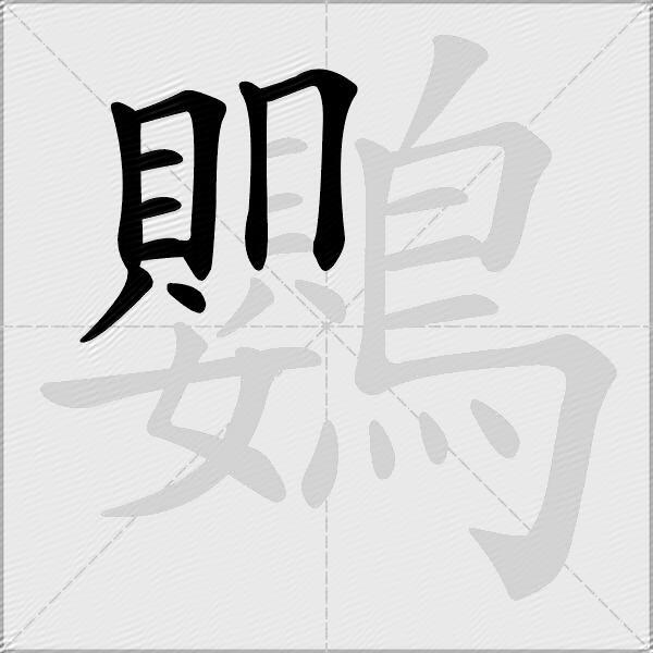 鸚