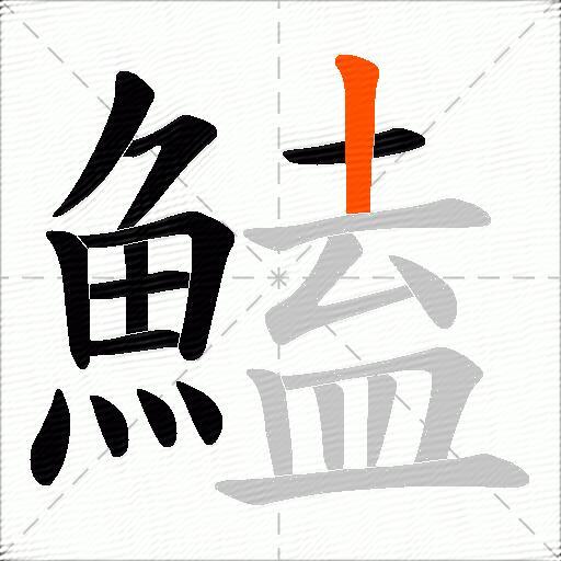 鰪