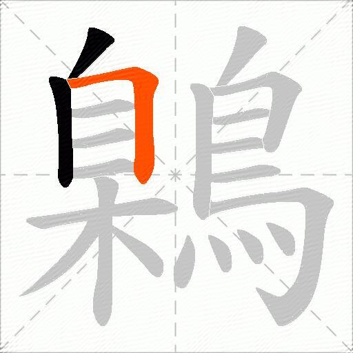 鷍