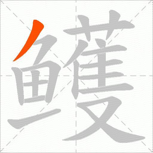 鳠