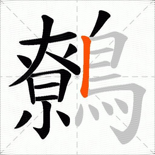 鷯