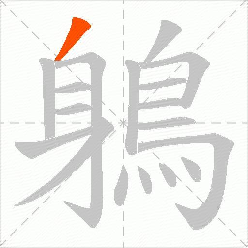 鵢