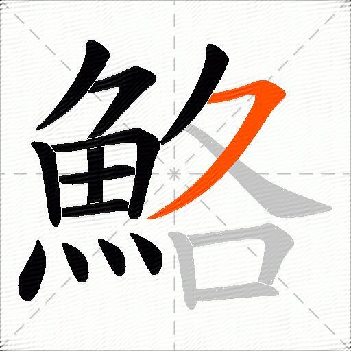 鮥