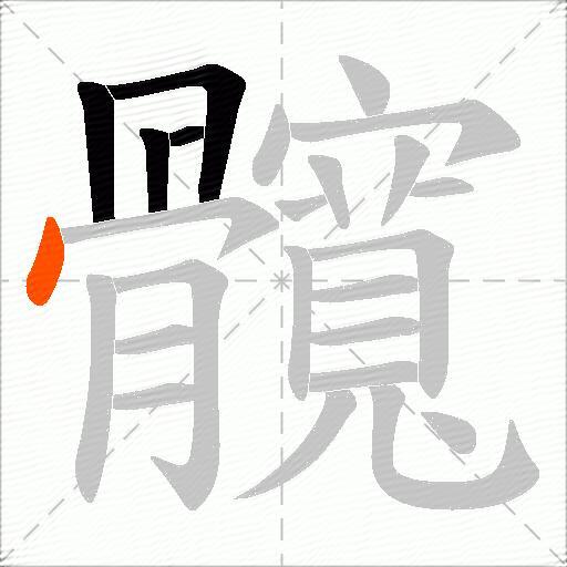 髖